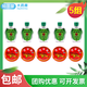 清涼油 老虎牌清涼膏提神醒腦學(xué)生蚊蟲(chóng)叮咬夏季清涼止癢防傷暑中華虎頭牌 5組【清涼油+龍虎牌風(fēng)油精】清涼止癢 蚊蟲(chóng)叮咬