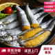 [京東冷鏈]多春魚(yú)滿(mǎn)籽新鮮多籽魚(yú)冷凍魚(yú)籽鮮活海鮮特大海魚(yú)燒烤 1斤