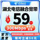 中國電信（CHINA TELECOM）湖北電信300M融合寬帶辦理 非武漢電信寬帶上門安裝 【非武漢】59/月(預存100元+208安裝費) 請留言或者發(fā)送客服，（身份證號和姓名、聯(lián)系電話）