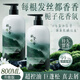 范泳辰洗發(fā)水男女士專用控油蓬松去屑止癢洗頭膏洗發(fā)露持久留香800ml