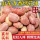 呈雪醇胖東來烤花生正宗山東萊西特產(chǎn)脫殼烤五香蒜香花生仁非油炸下酒菜 五香花生米500g*1罐（1斤裝）