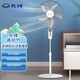 先鋒（SINGFUN）五葉家用電風(fēng)扇大風(fēng)量70W機械立式客廳臥室用落地扇定時風(fēng)扇落地式風(fēng)扇 FS45-21A 18寸5葉扇葉