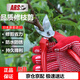 愛麗斯日本進(jìn)口FB-8剪樹枝園林剪刀園藝剪刀花剪果樹修枝剪剪花枝剪刀