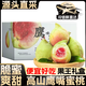 山姆伯伯 鷹嘴桃蜜桃子禮盒裝【閃送】云南脆桃子新鮮水果禮盒送禮 5斤禮盒【精選母樹蜜罐果】凈4斤 手挑甄選特級果｜爆甜 單果130g+