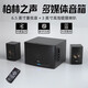 ROBERILLINE柏林之聲高端多媒體音箱家用電腦電視音響超重低音炮無線藍(lán)牙臺式 典雅黑