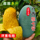 廣西百色桂七芒果新鮮當(dāng)季熱帶水果現(xiàn)摘香芒青皮水仙芒果大果整箱 5斤 中果【單果2-3兩】
