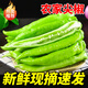 農家自種牛角椒頭茬尖椒新鮮微辣現摘微辣青辣椒新鮮蔬菜 5斤