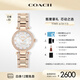 蔻馳（COACH）CARY系列鑲鉆貝母表盤(pán)鋼帶石英女表14503838 禮物/送禮