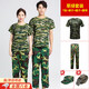 DUTRIEUX軍訓(xùn)服套裝大學(xué)生迷彩服全套海洋藍(lán)高中迷彩t恤短袖軍訓(xùn)上衣褲子 175草綠（T恤+褲子+帽子+腰帶）