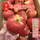 果益壽 紅露蘋果當季新鮮水果脆甜非云南昭通冰糖心丑蘋果孕婦水果整箱 3斤 75mm-80mm【大果】