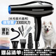 寵物電吹風(fēng)機狗狗專(zhuān)用大功率藍光貓犬通用除螨寵物店大風(fēng)力吹水機 鋼琴黑-3300風(fēng)力[長(cháng)毛貓犬通用]