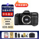 佳能EOS 750D 800D 77D 80D 90D 850D 760D 7D2半畫幅數(shù)碼單反相機(jī) 佳能80D+18-135 STM長焦鏡頭 原裝配件套餐