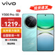 vivo Y300 Pro 續(xù)航滅霸 鈦強大 6500mAh超薄藍海電池 全等深微四曲屏 SGS五星抗摔認(rèn)證 AI 拍照 手機 金鑲玉 12GB+512GB 官方標(biāo)配