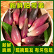 2025湖北恩施新鮮陽(yáng)荷姜自種陽(yáng)和姜洋荷洋河姜現(xiàn)挖現(xiàn)發(fā)產(chǎn)地直發(fā) 250g