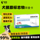 萌格犬胰腺炎試紙肥胖厭食嘔吐狗狗弓背收腹高脂飲食 cPL犬胰腺炎檢測試紙(采耳緣一滴血)【易操作】