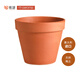 DEROMA意大利進(jìn)口陶土花盆帝羅馬國際盆手工花盆多肉綠植花卉種植盆QYDF 【進(jìn)口陶盆】國際盆 紅陶13cm