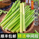 【順豐/現砍】東北甜桿高粱桿小甘蔗5斤甜蘆桿爆甜甘蔗整箱包郵M3 3斤【新鮮現砍】