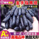 博多客運(yùn)城新鮮水果藍(lán)寶石金手指葡萄拇指黑美人無籽提子甜大整串裝順豐 2斤