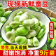 云南現摘新鮮蠶豆5斤農家?guī)ど镜亓_漢蘭花胡豆青豆莢蔬菜整箱 5斤