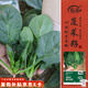 壽禾 大圓葉菠菜種子苗秋季家庭種植 菠賽冬紅根圓葉菠菜種子25gx2包