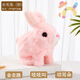 拉迪圖兒童玩具電動(dòng)兔子會(huì )動(dòng)會(huì )叫搖耳朵毛絨玩具仿真小兔子寵物玩具禮物 長(cháng)毛兔（粉） 普通電池+螺絲刀【百分之25%人選擇】