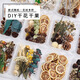 靜閑居干花材料手工diy制作松果永生花材料包裝飾真干果樹(shù)葉天然植物葉 干果干花花材盒【隨機一盒裝】