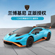 RASTAR星輝 1:24蘭博基尼遙控車(chē)小牛跑車(chē)男孩兒童玩具 98800藍(lán)色