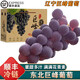 南步東北巨峰葡萄【順豐冷鏈】農家大葡萄黑葡萄夏季陽光提子新鮮水果 5斤裝 | 土豪專享 | 果農嚴選