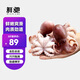 鮮馳八爪魚(yú)新鮮小章魚(yú)海鮮活冷凍水產(chǎn)即食長(zhǎng)腿八抓魚(yú)迷你章魚(yú)足大爆頭 小八爪魚(yú) 3斤(凈重)