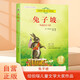 紐伯瑞兒童文學(xué)大獎(jiǎng)作品 兔子坡 常春藤國(guó)際大獎(jiǎng)小說(shuō)系列 兒童經(jīng)典名著課外閱讀書(shū)籍 開(kāi)拓視野增長(zhǎng)閱讀興趣提升寫作作文水平