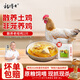 楊博士 皖南散養(yǎng)土雞老母雞 凈重1.6斤及以上 含雞胗雞心雞肉源頭直發(fā)