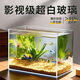 坤寧王超白玻璃魚缸桌面裸缸家用小型生態(tài)缸40魚缸造景客廳龜缸溪流缸