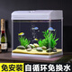 長銳小魚缸小型桌面客廳家用玻璃免換水迷你 【CR320】長31x寬22x高30.5cm
