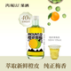 青城山青梅白桃果酒梅酒10度微醺酒適合女生喝的低度酒水果酒甜酒單瓶 青梅橙皮500ml單瓶 10度