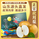 東鮮豐山東秋月梨 豐水梨新鮮水果脆甜冰糖梨子 當(dāng)季水果中秋禮盒送禮 【秋月梨】5斤普通裝凈重4.5斤 源頭直采