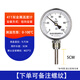 創(chuàng)紀(jì)美高溫管道鍋爐溫度表WSS411工業(yè)級(jí)雙金屬溫度計(jì)徑向軸向溫度顯示器 徑向0-100度尾長(zhǎng)5cm【備注螺紋】