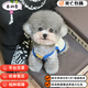 泰迪幼犬純種灰泰迪貴賓犬茶杯犬長(cháng)不大小體狗小型犬活體狗寵物狗 寵物級 灰泰迪 公