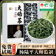 惠聚春秋安溪特級(jí)鐵觀音大師茶葉新茶禮盒裝送禮長(zhǎng)輩領(lǐng)導(dǎo)高檔濃香型烏龍茶