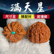 初享（CHUXIANG）精品高端文玩核桃滿天星手把件四座樓獅子頭核桃精軒佛珠盤(pán)玩 滿天星核桃(藍(lán)石鑲嵌款) 46-47mm【一對(duì)】