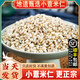 薏米仁500g小薏苡仁中藥材新貨貴州鐵白薏米苡米仁小粒散裝薏苡仁 生薏米仁/500克[正宗貴州小薏米