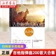 吉他指彈曲200首大合集