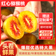 蒲江紅心獼猴桃應季新鮮水果奇異果禮盒整箱彌獼桃多地次日達水果 【嘗鮮推薦】中果【60-80G】 30枚