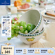 德國唯寶（Villeroy&Boch）法式花園系列碗飯碗湯碗面碗釉中彩陶瓷碗家用 Fleur 飯碗 650ml