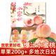 京地達正宗水蜜桃江蘇桃子單果200g+12枚新鮮毛桃中秋水果禮盒源頭直發(fā)