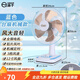 揚子臺扇電風(fēng)扇搖頭扇家用轉頁(yè)臺扇風(fēng)扇電扇12寸可定時(shí)宿舍床頭扇 揚子藍色12寸臺扇鋁葉 標配款
