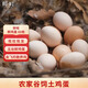 鮮畦農(nóng)場放養(yǎng)200天以上跑山雞老母雞 生態(tài)散養(yǎng) 食五谷雜糧 會飛的母雞 土雞蛋一箱50枚