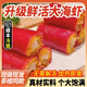 粵味婆【茶樓同款】廣式早餐新鮮蝦蝦仁紅米腸粉預(yù)制菜加熱即食熟食食品 2包【超值劃算-家庭實惠裝】 新鮮蝦350g【高端茶樓同款】