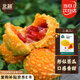 北蔬 小癩瓜種子種苗賴(lài)葡萄金鈴子味甜苦瓜蔬菜種籽 小癩瓜種子20粒