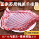 抱年高檔內蒙古錫林郭勒蘇尼特羊肉  蘇尼特羔羊羊排  整只蘇尼特羊 5斤蘇尼特羔羊排骨
