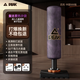 匹克（PEAK）拳擊沙袋家用散打立式沙包成人兒童不倒翁武術(shù)搏擊跆拳道訓(xùn)練器材 復(fù)古紫-成人兒童通用